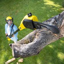 Best Lawn Watering Services  in Deephaven, MN